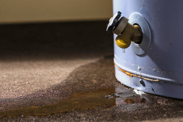 Best Commercial water damage restoration  in Wallington, NJ