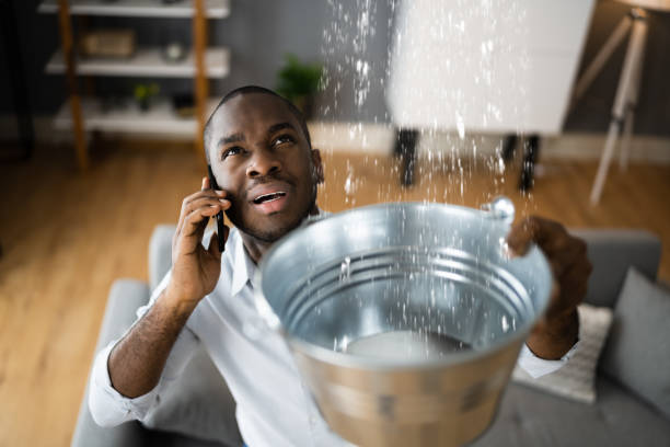 Best Commercial water damage restoration  in Wallington, NJ