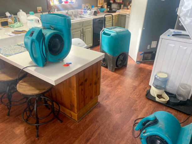 Best Water damage restoration insurance claims  in Wallington, NJ