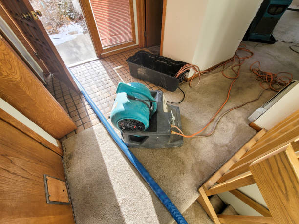 Best Basement water damage restoration  in Wallington, NJ