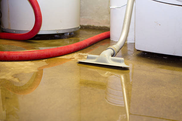 Best 24-hour water damage restoration  in Wallington, NJ