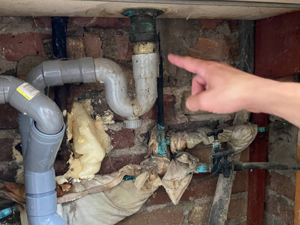 Best Commercial water damage restoration  in Wallington, NJ