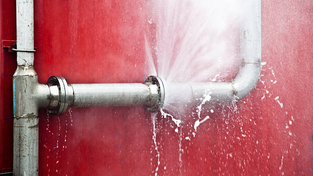 Best Flood damage cleanup  in Wallington, NJ